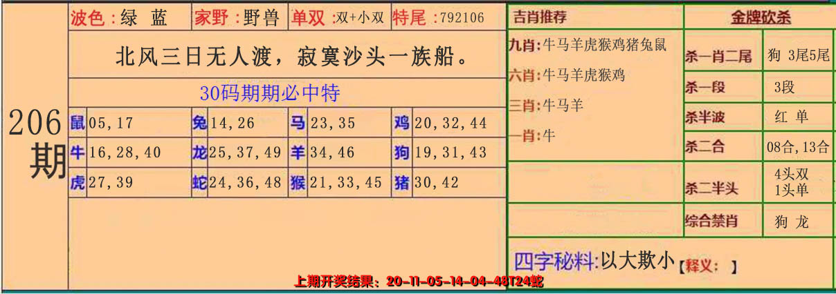 2024206期30码中特