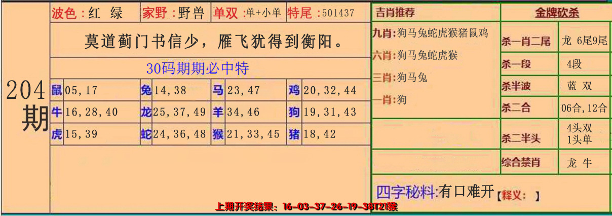 2024204期30码中特