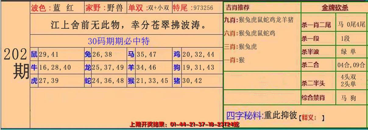 2024202期30码中特