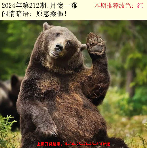 2024212期今日闲情2