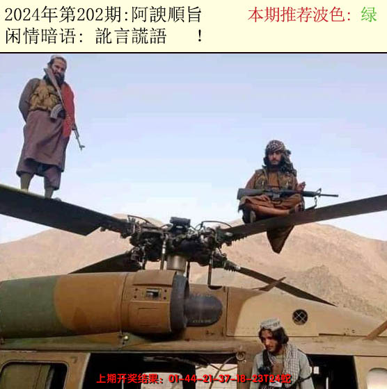 2024202期今日闲情2