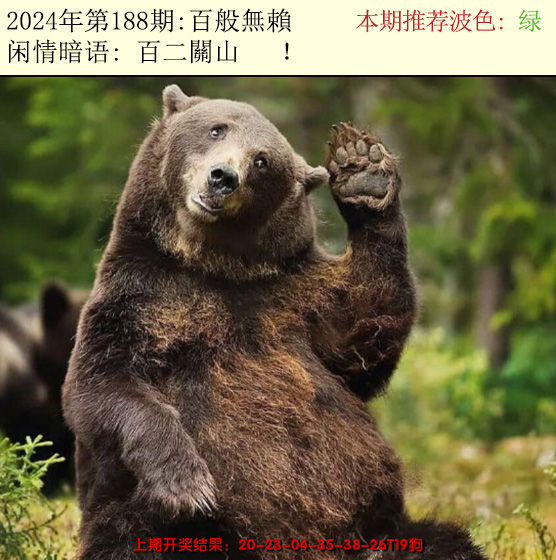 2024188期今日闲情2