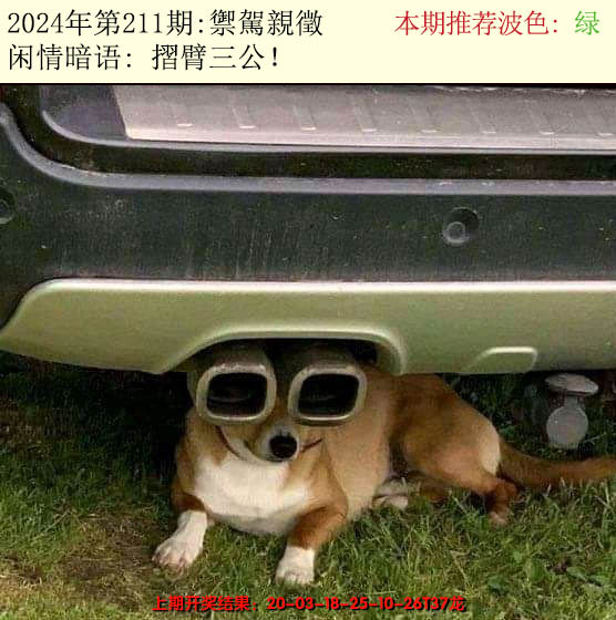 2024211期今日闲情2