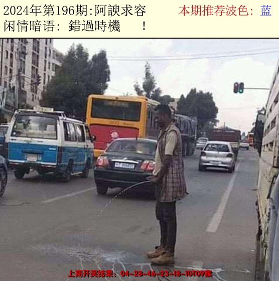 2024196期今日闲情2