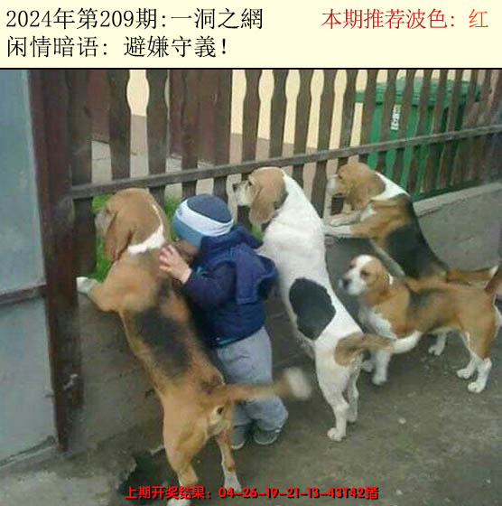 2024209期今日闲情2
