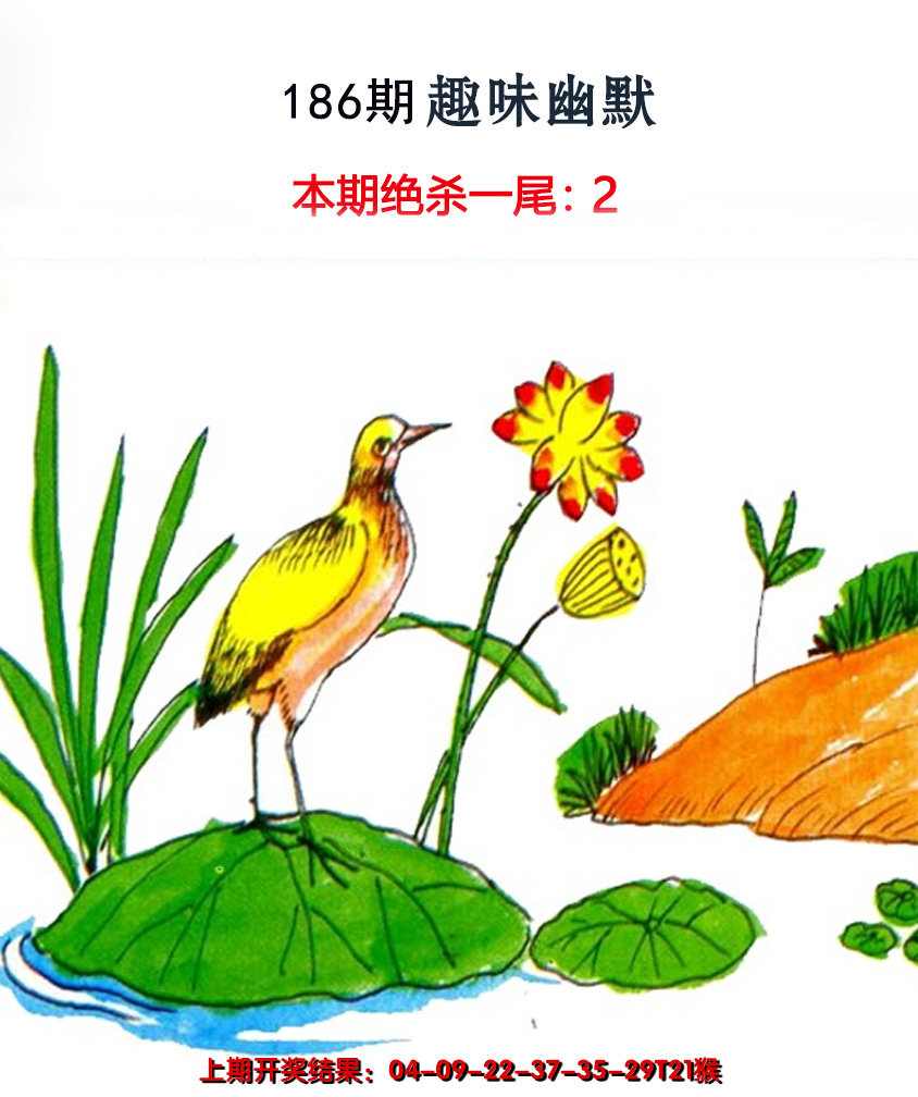 2024186期趣味幽默