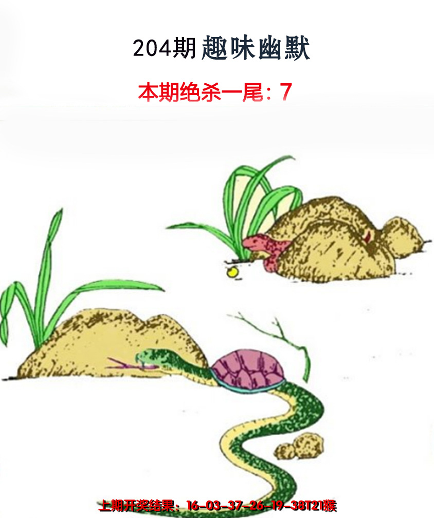 2024204期趣味幽默