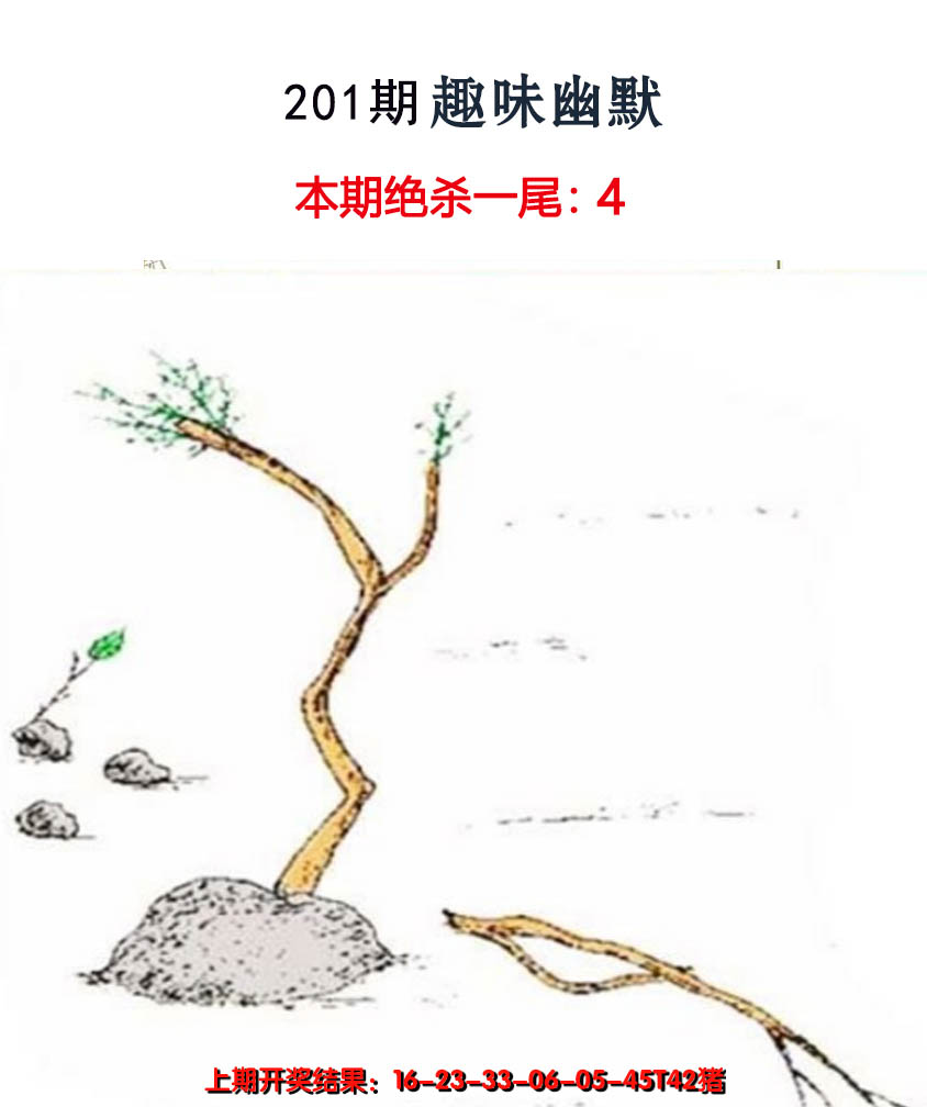 2024201期趣味幽默