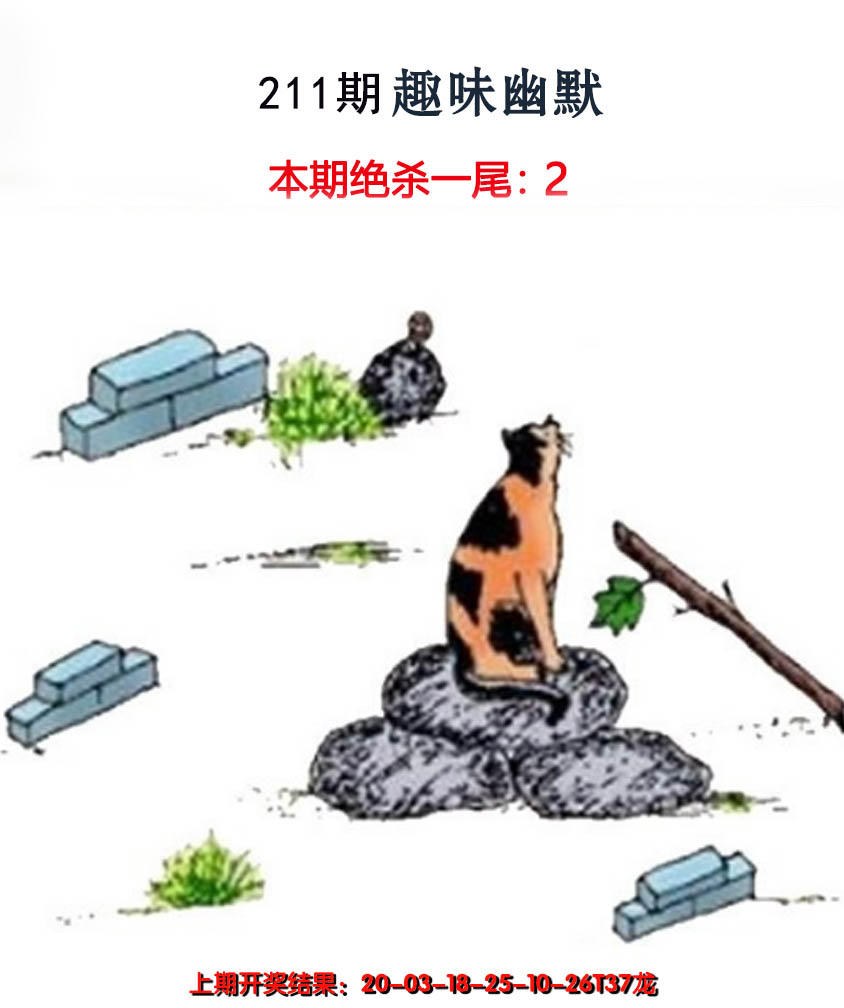 2024211期趣味幽默