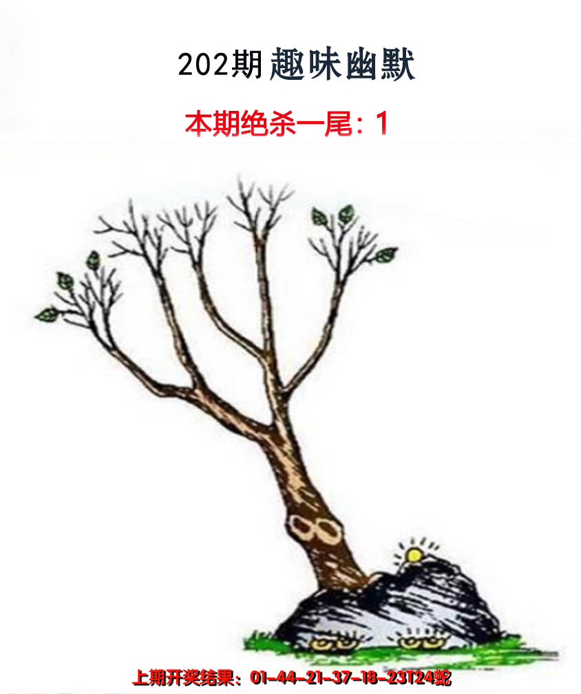 2024202期趣味幽默
