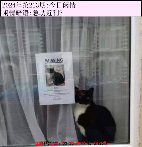 2024213期今日闲情