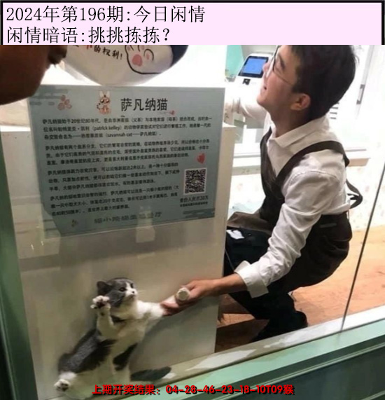 2024196期今日闲情