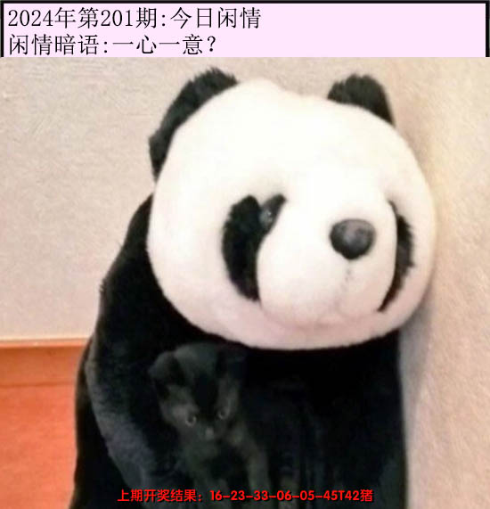 2024201期今日闲情