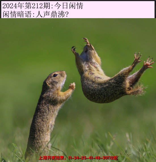 2024212期今日闲情
