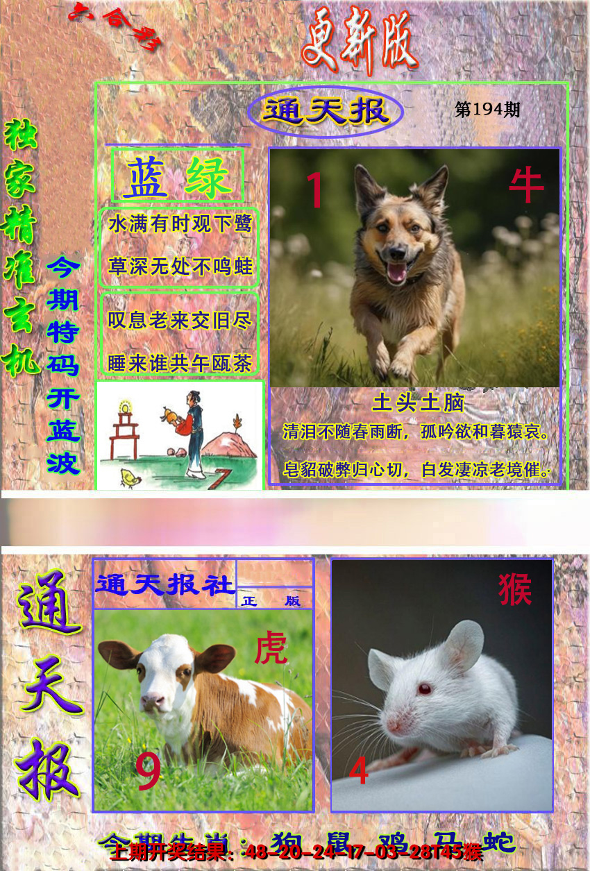 2024194期新通报