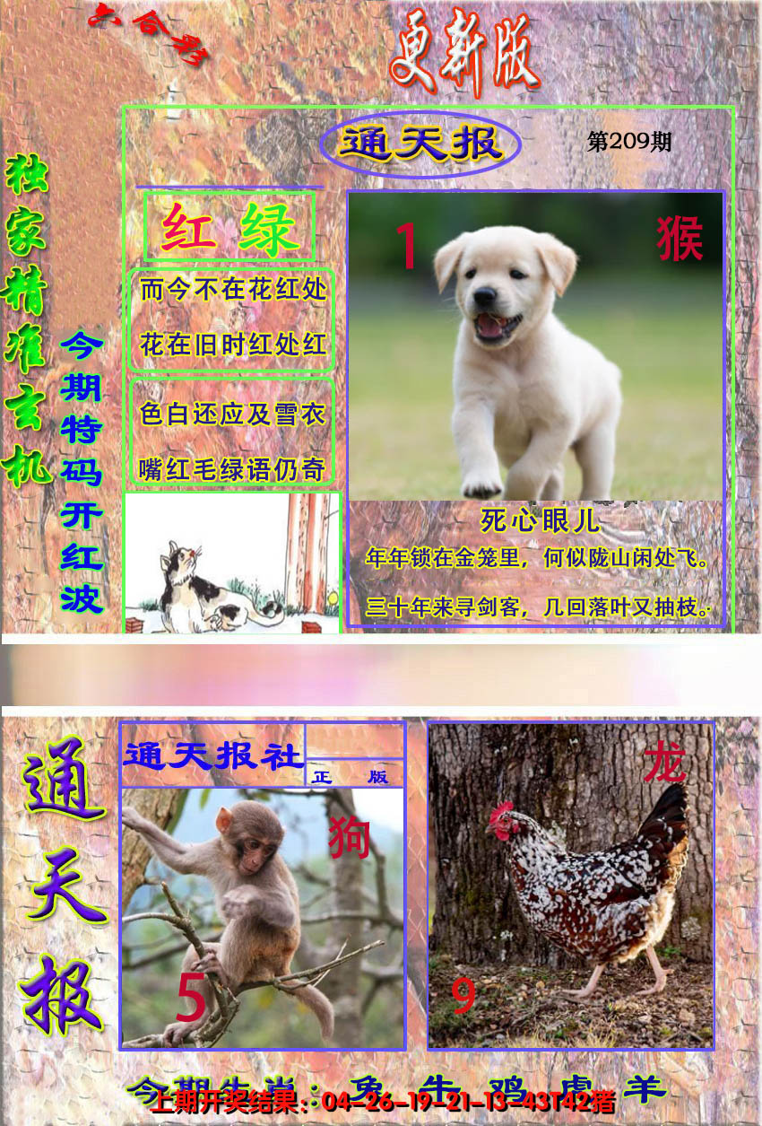 2024209期新通报