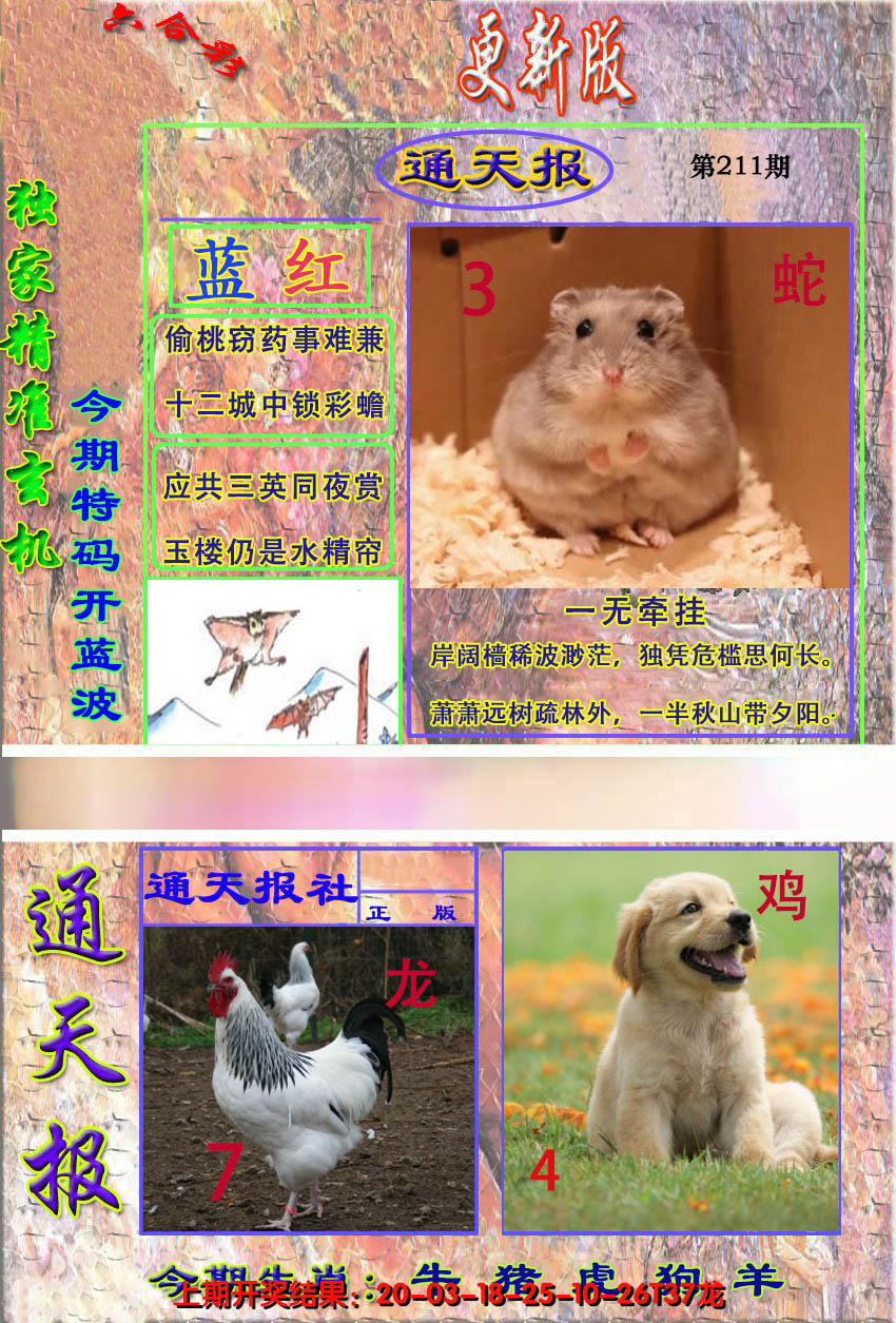 2024211期新通报