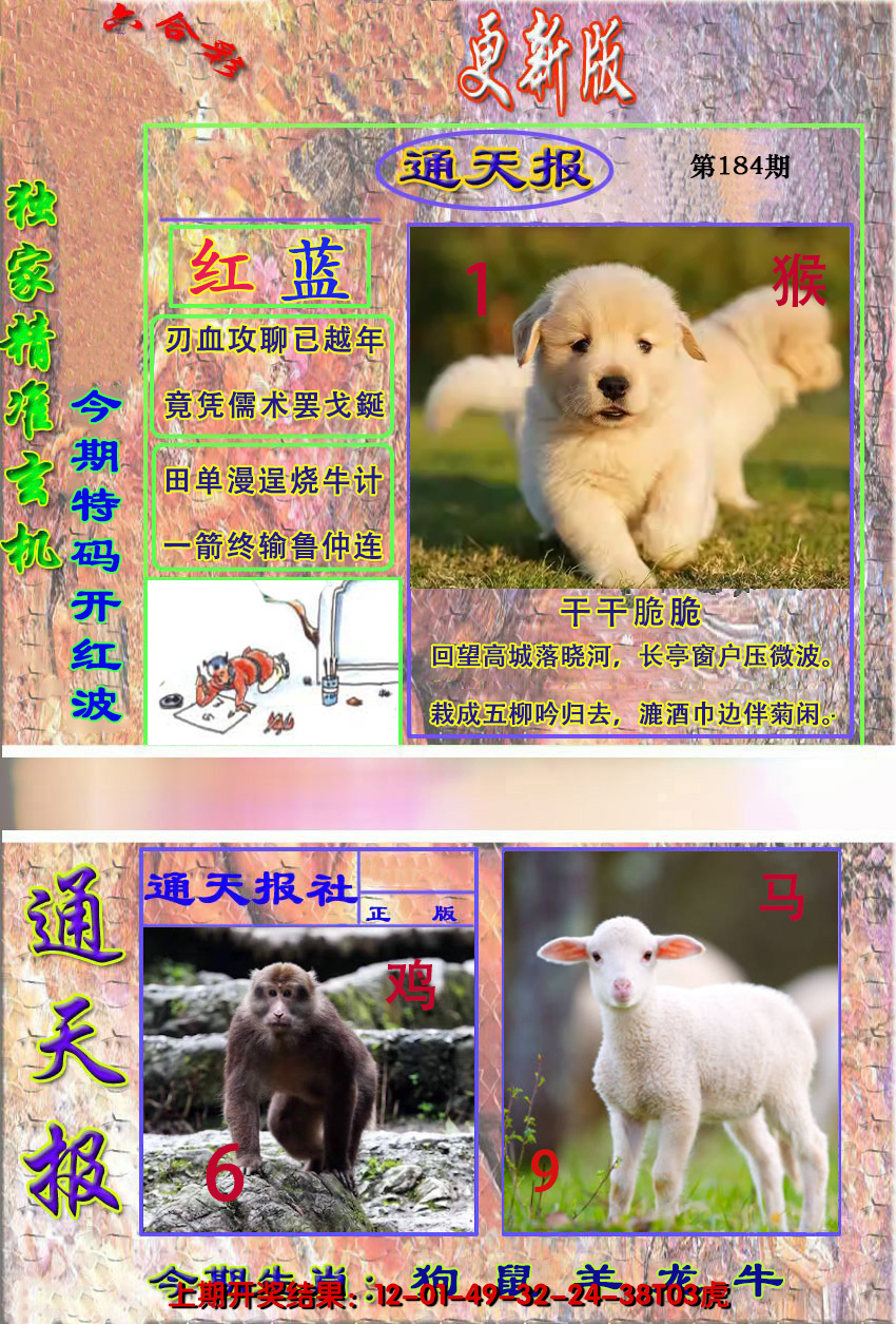2024184期新通报