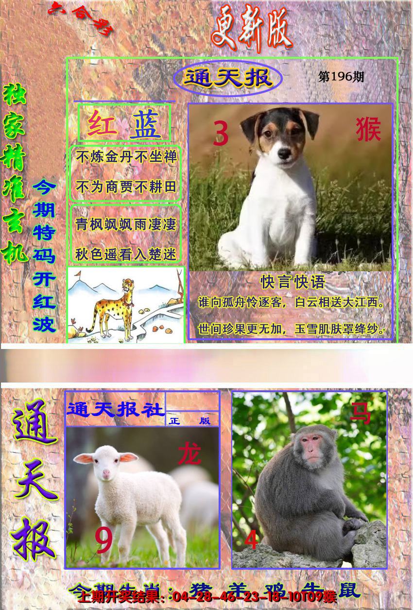 2024196期新通报
