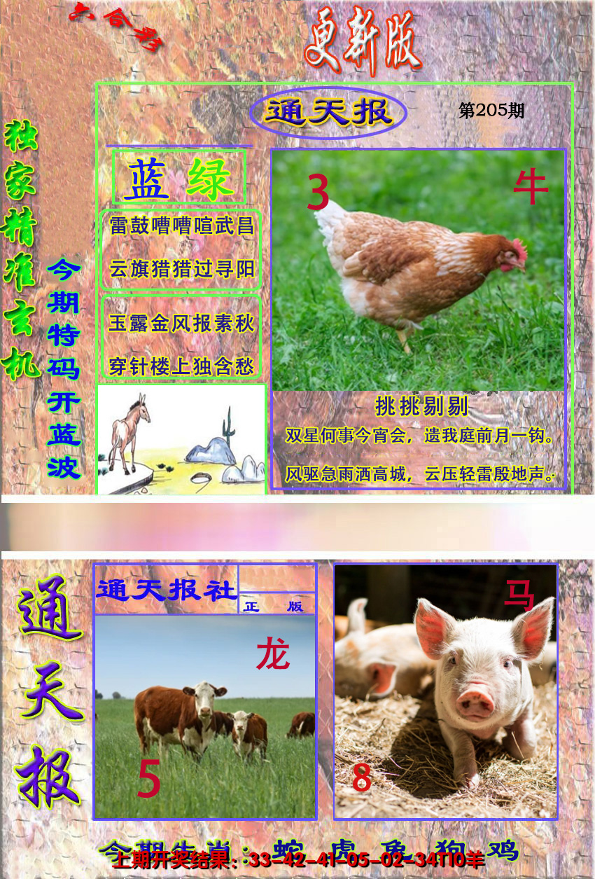 2024205期新通报