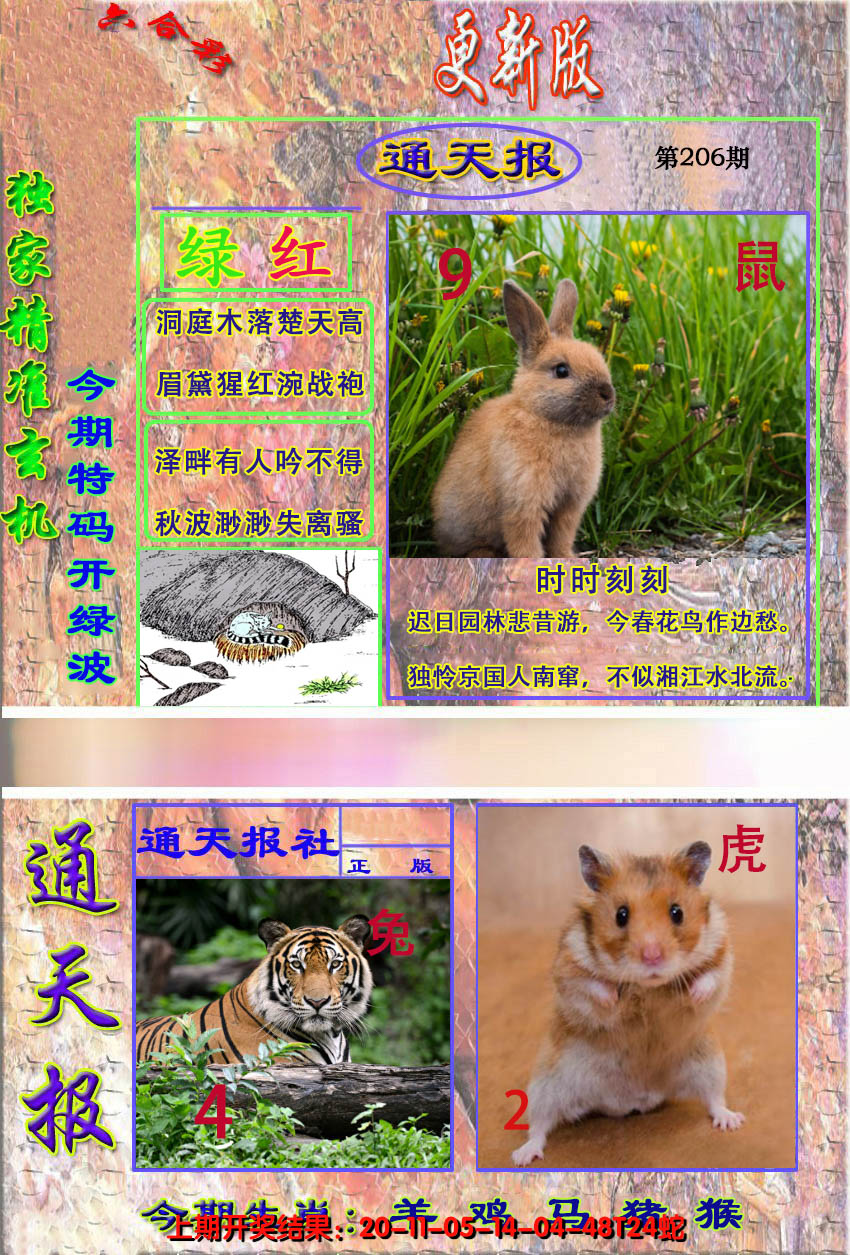 2024206期新通报