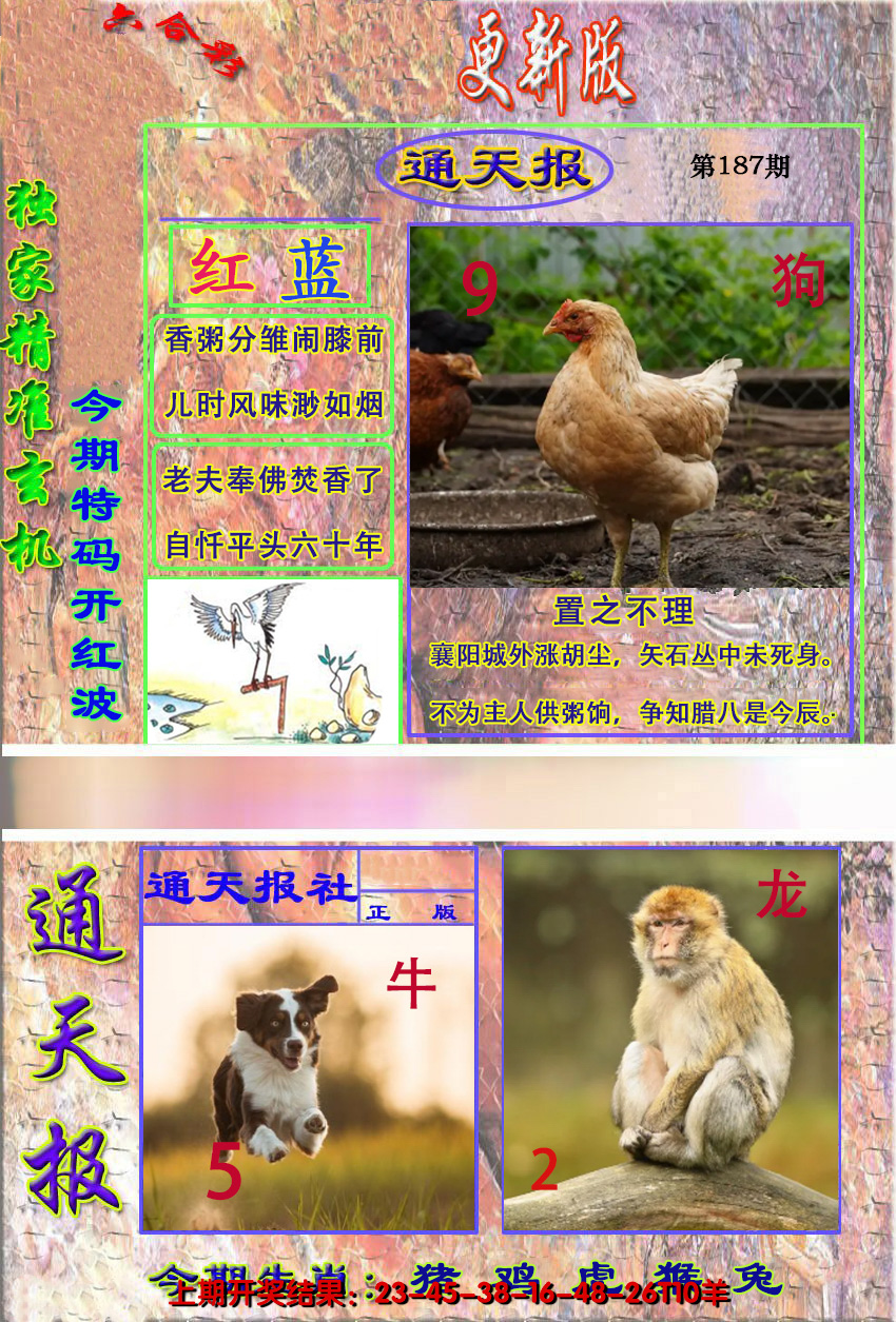 2024187期新通报