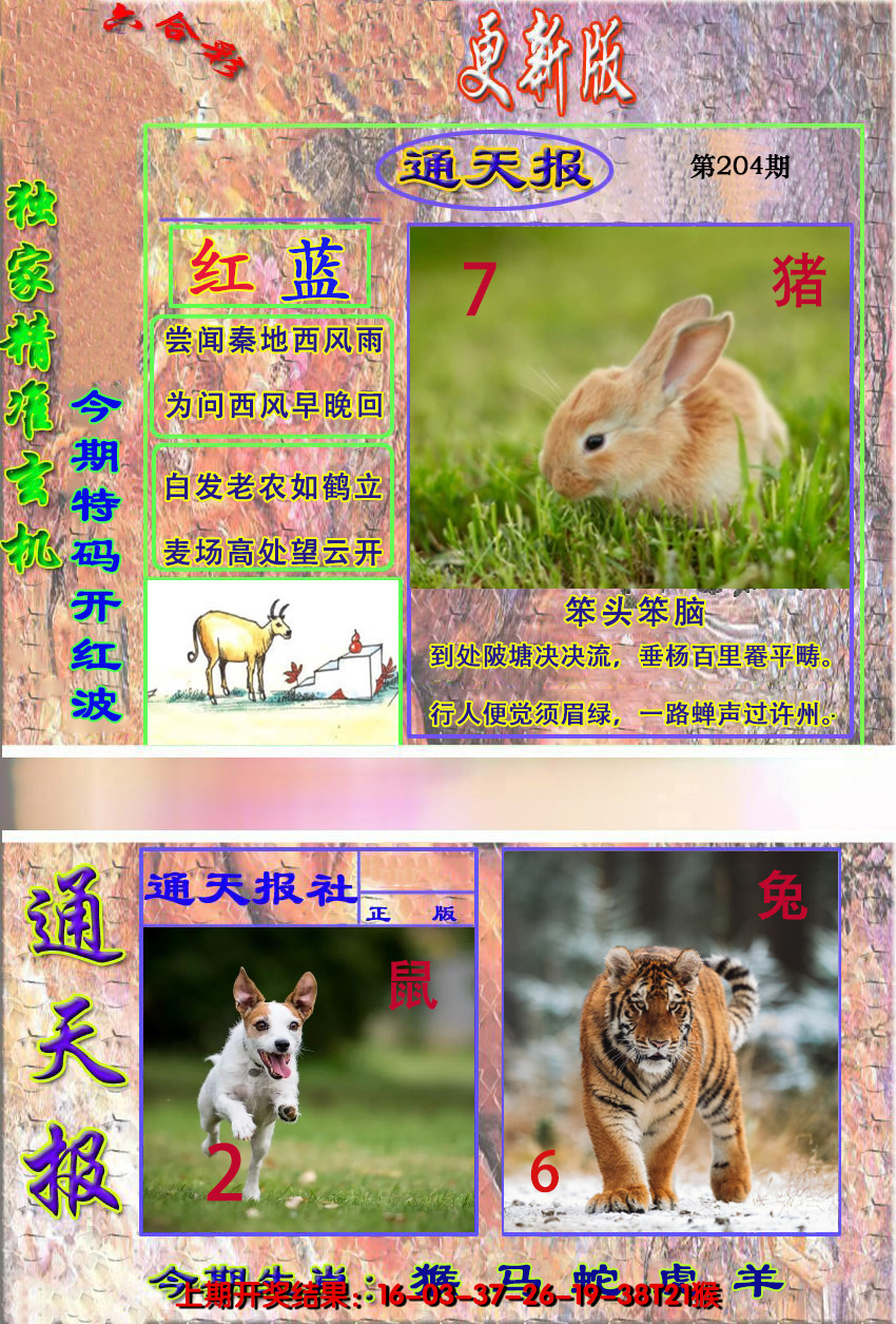 2024204期新通报