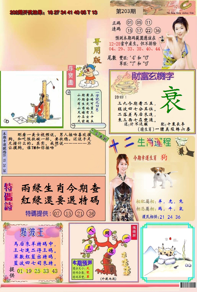 2024203期九龍专用版(推荐)