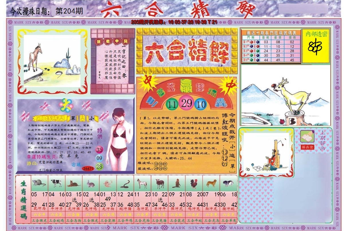 2024204期六合精解A