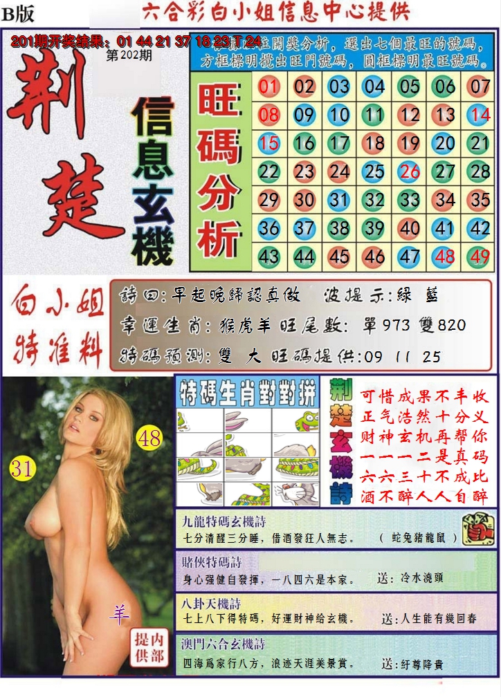 2024202期荆楚信息玄机B
