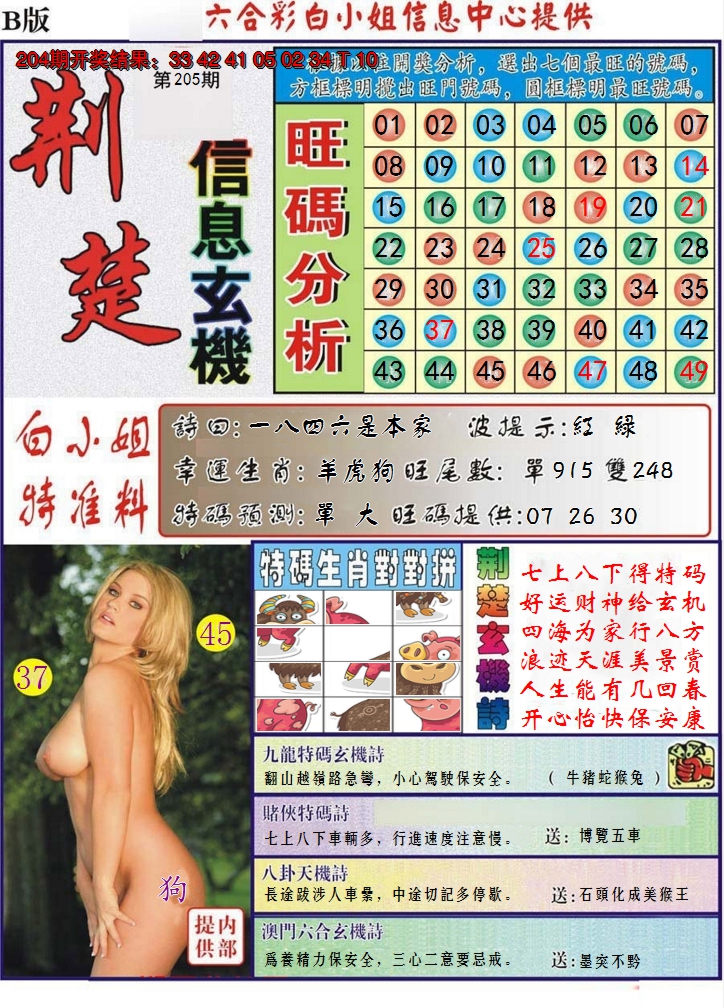 2024205期荆楚信息玄机B