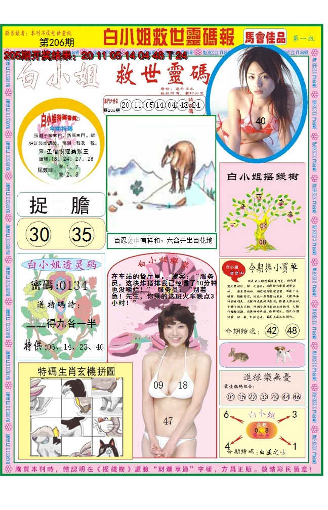 2024206期白小姐龙卷风A