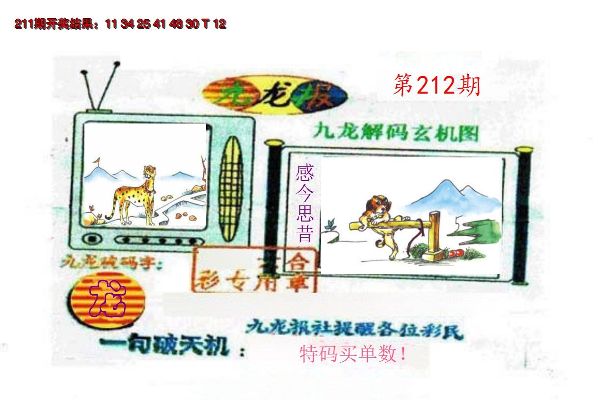 2024212期九龙报