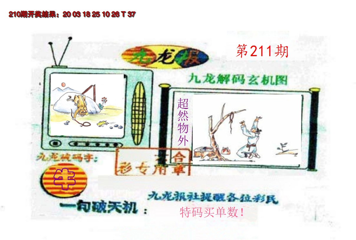 2024211期九龙报