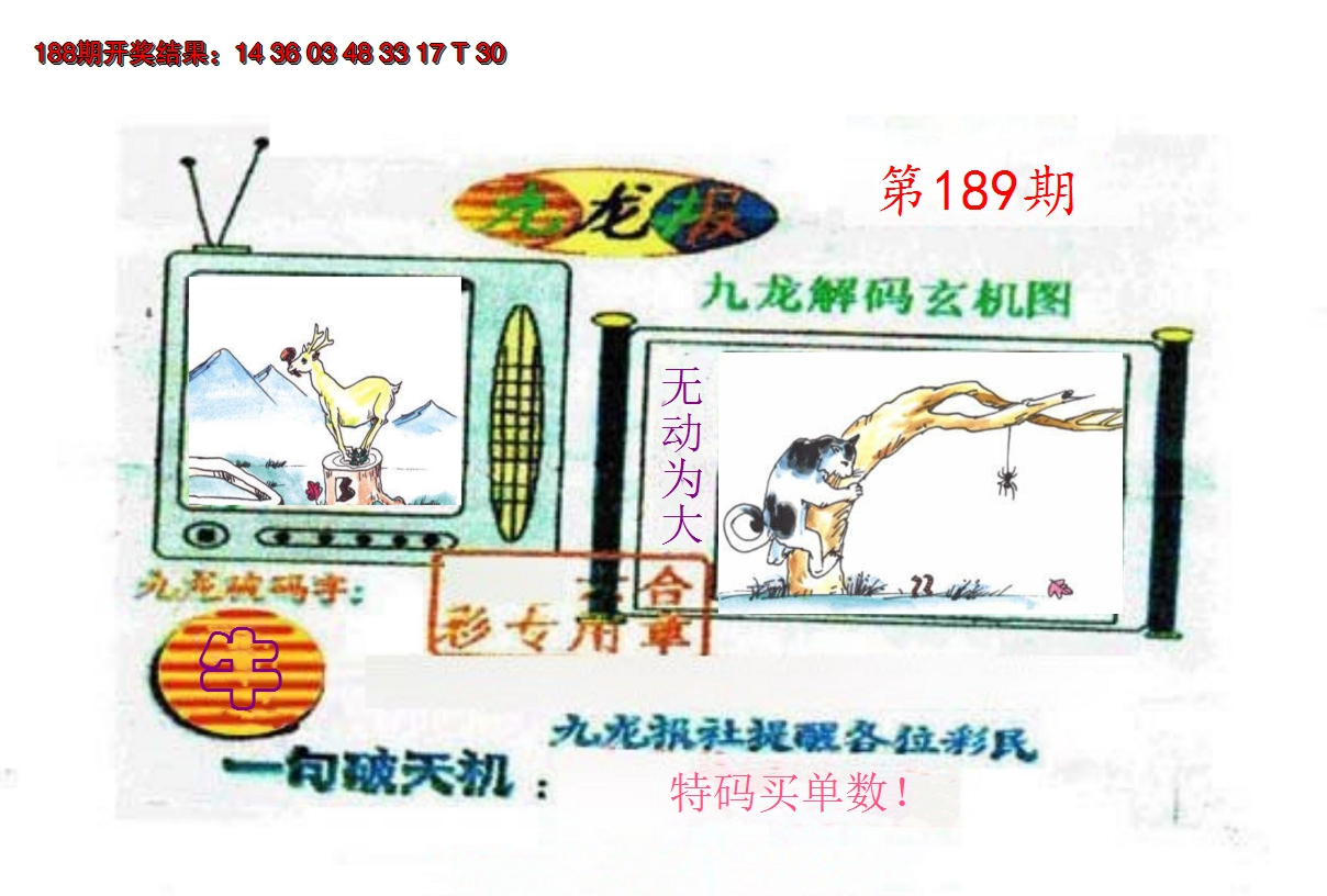 2024189期九龙报