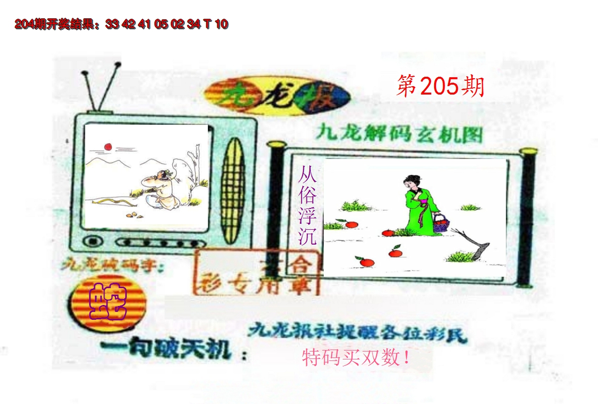 2024205期九龙报