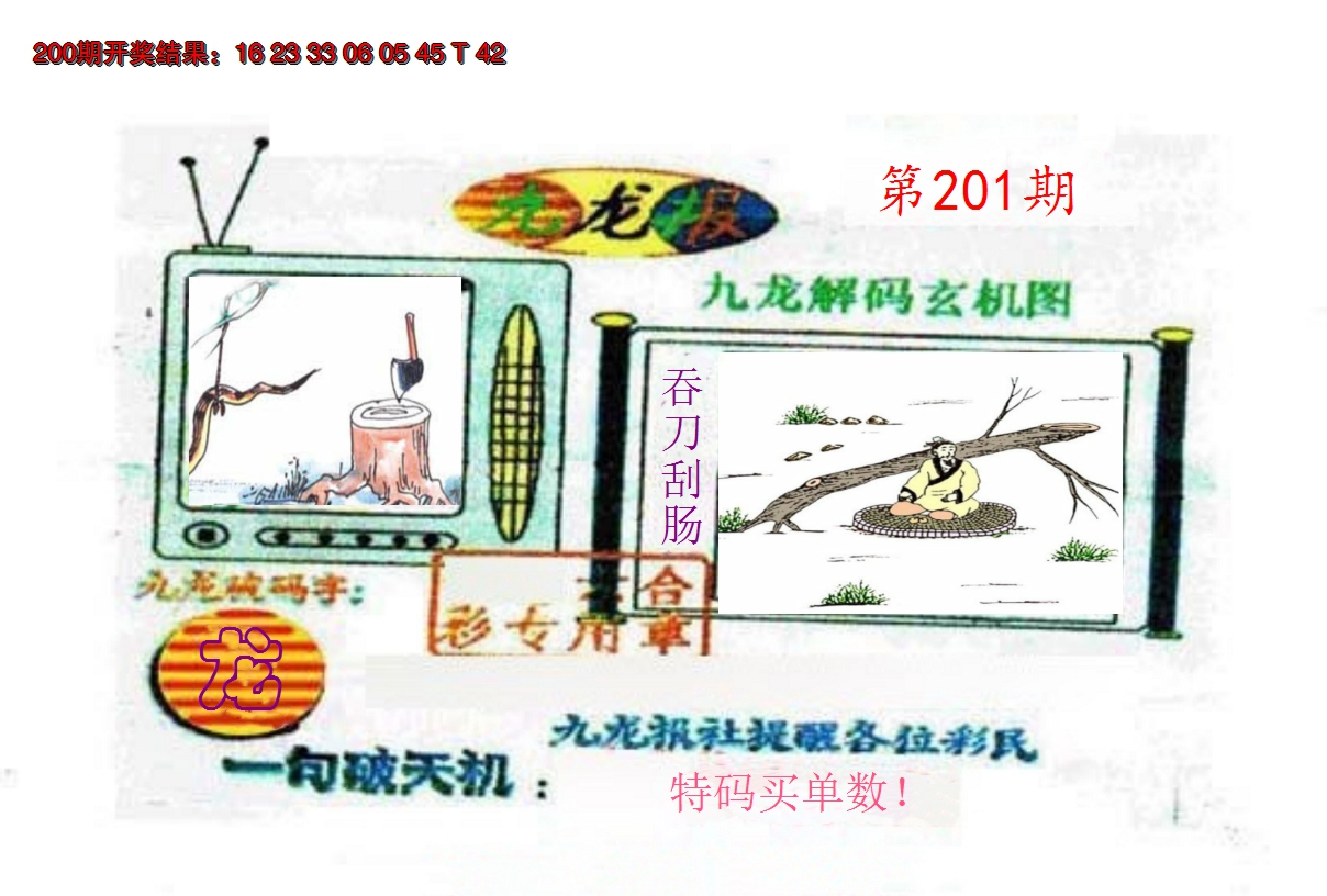 2024201期九龙报