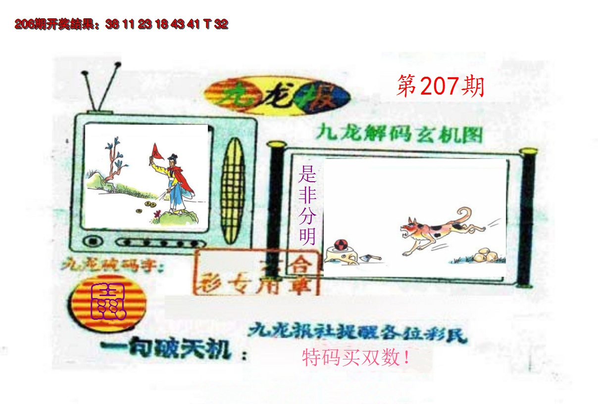 2024207期九龙报