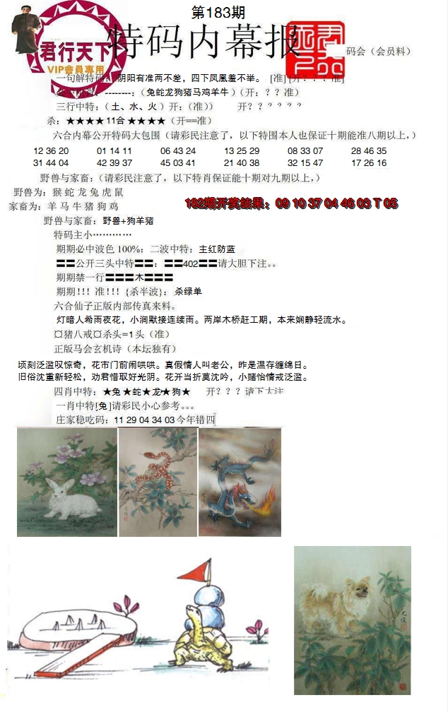 2024183期特码内幕报