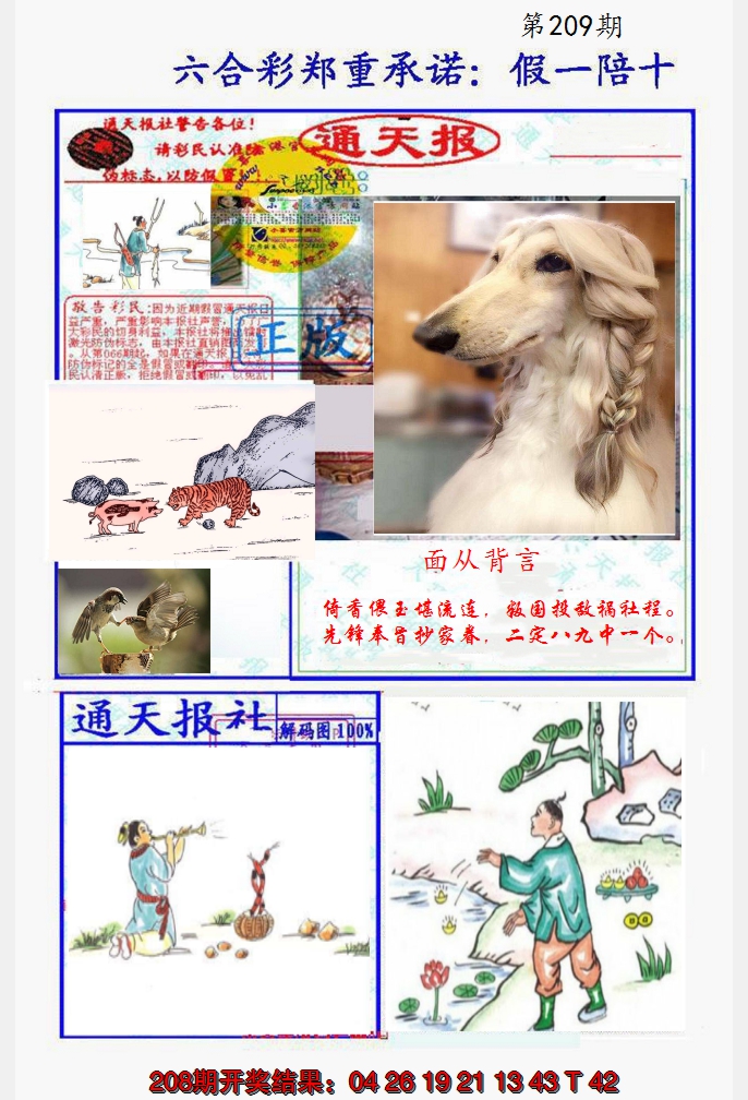 2024209期假一陪十通天报