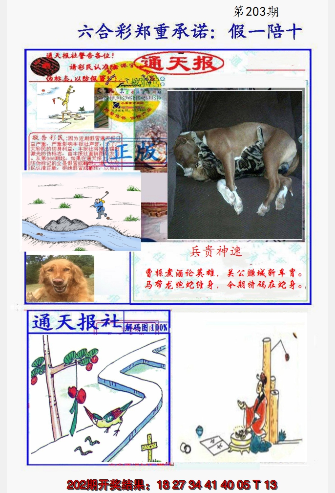 2024203期假一陪十通天报