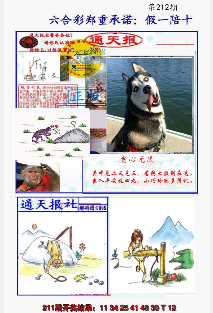 2024212期假一陪十通天报
