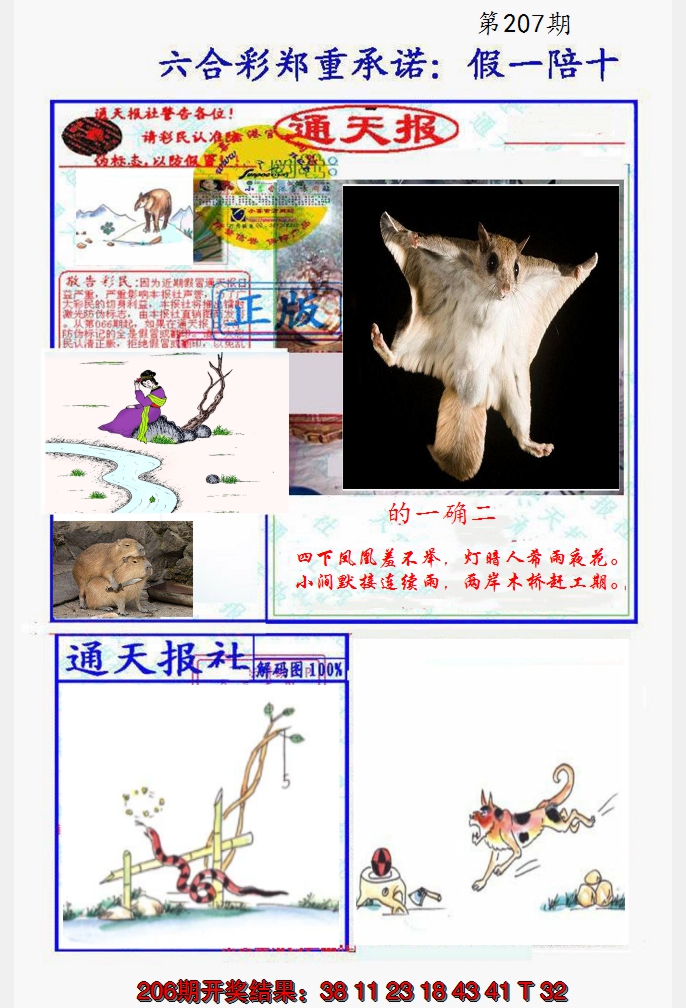2024207期假一陪十通天报