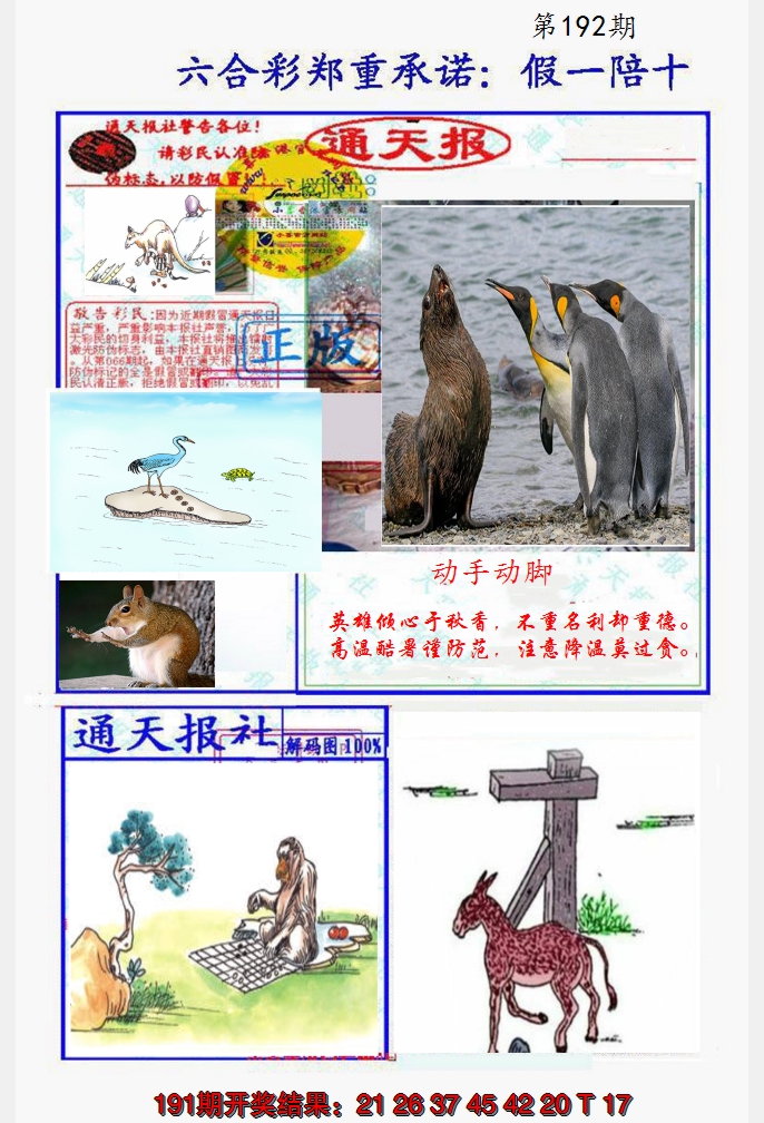2024192期假一陪十通天报