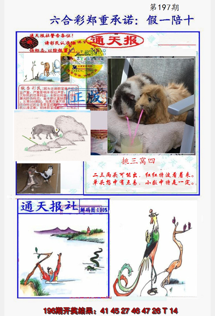 2024197期假一陪十通天报