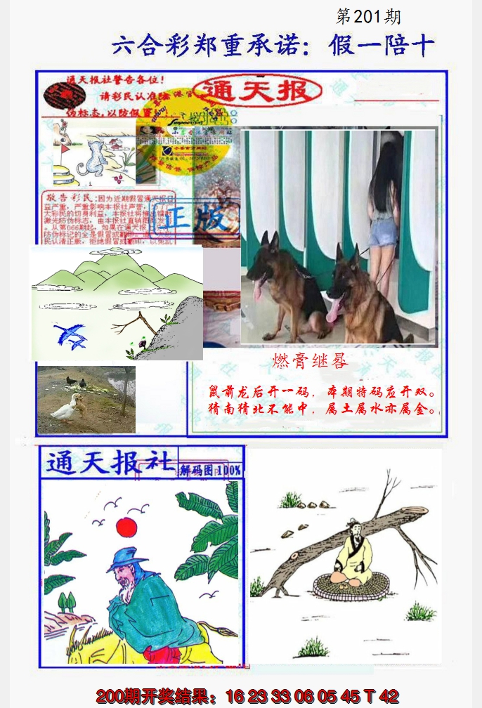 2024201期假一陪十通天报