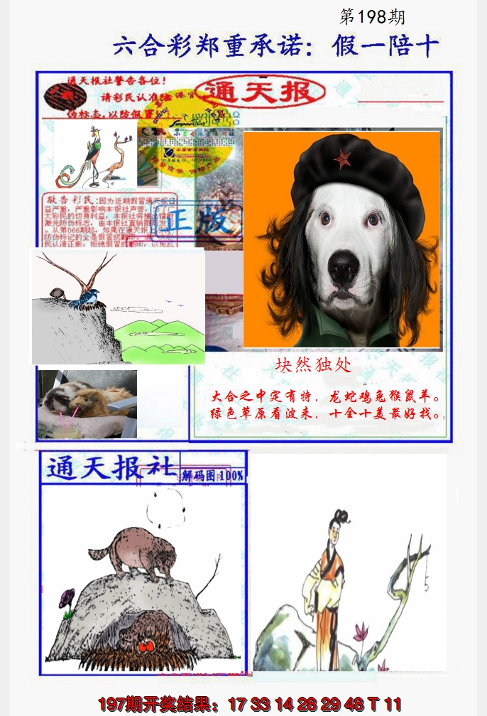 2024198期假一陪十通天报
