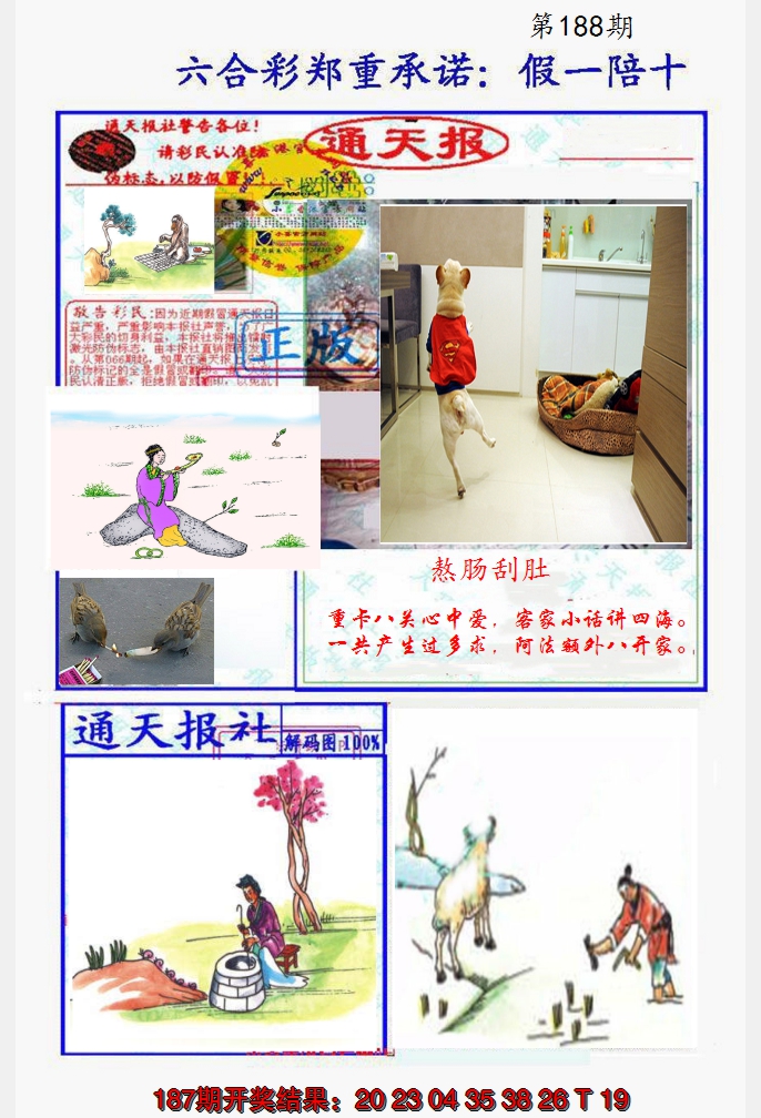 2024188期假一陪十通天报