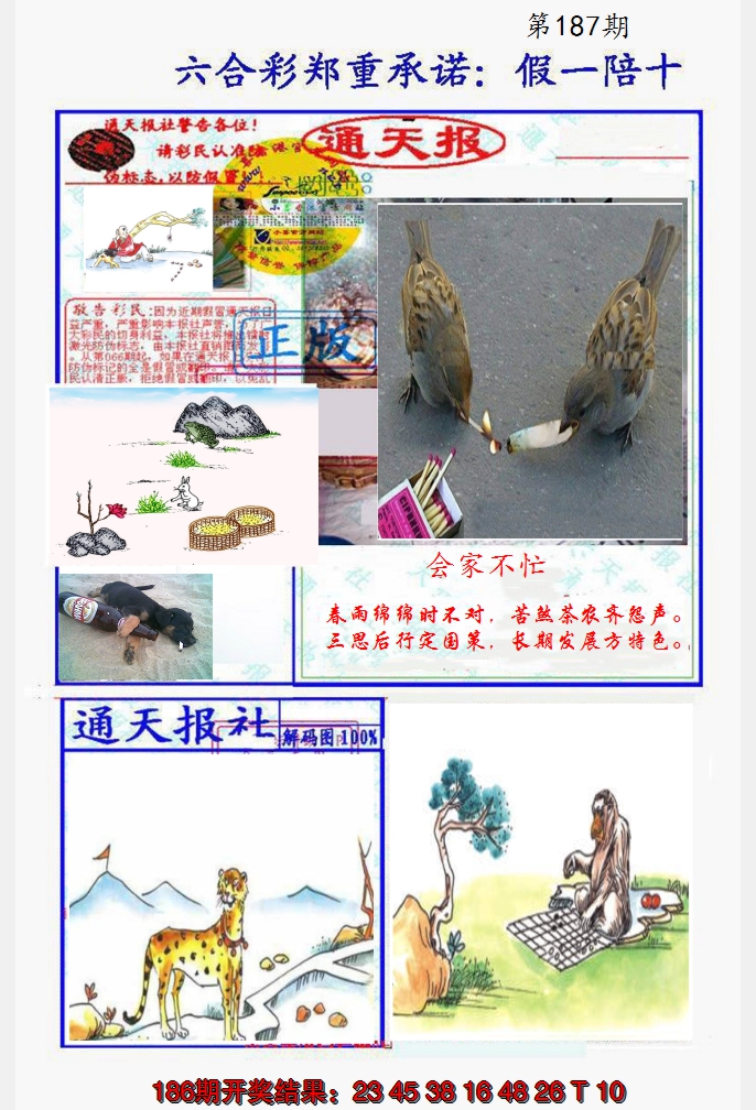 2024187期假一陪十通天报