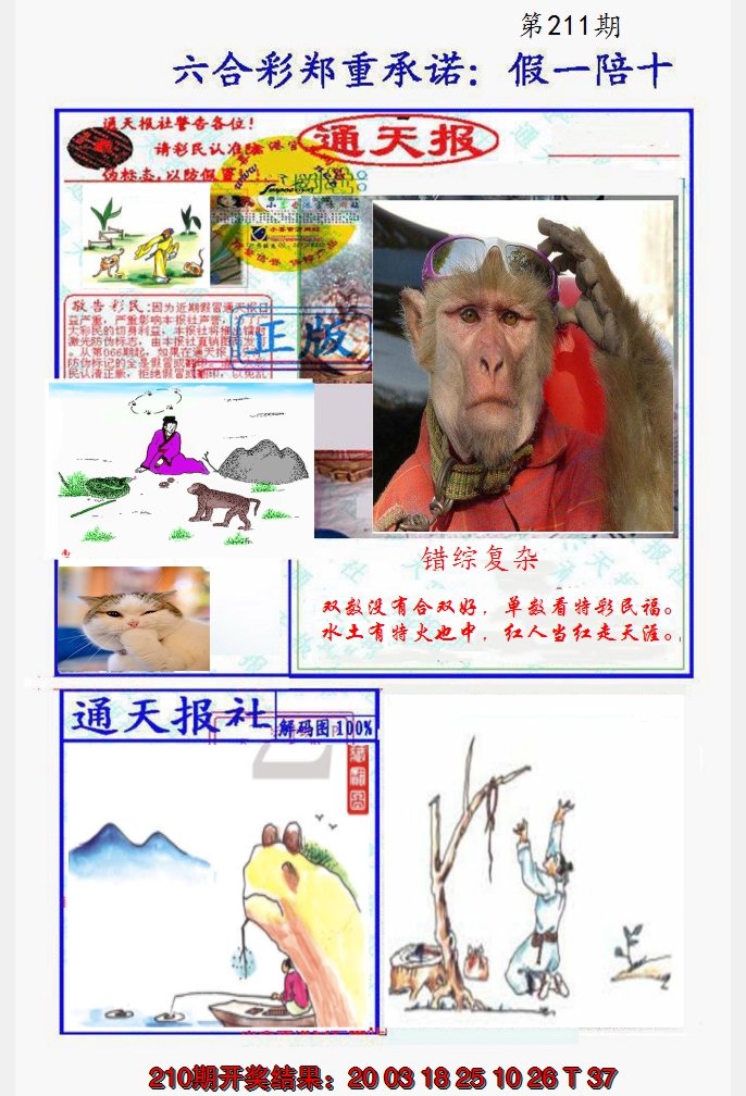 2024211期假一陪十通天报